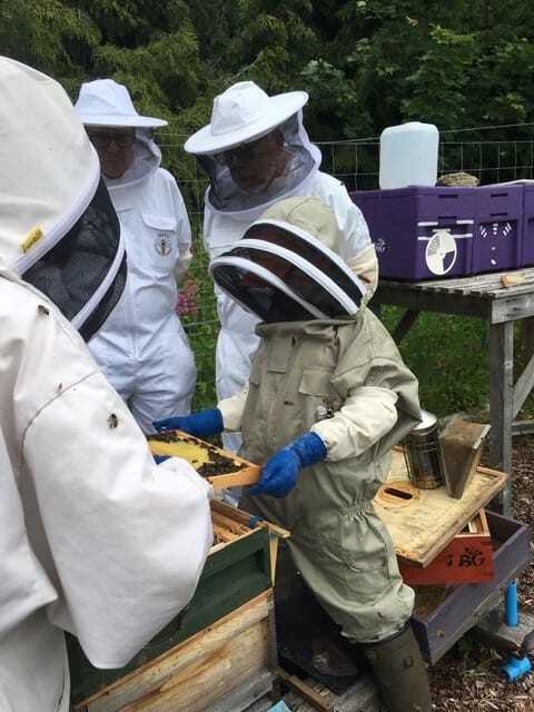 Young beekeepers